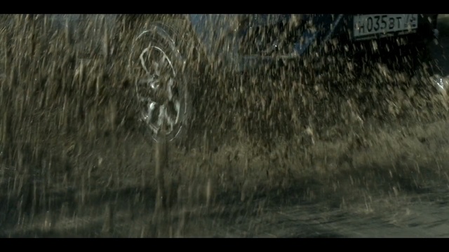 Video Reference: Nature, Darkness, Organism, Water, Tree, Wildlife, Font, Photography, Art, Monochrome photography