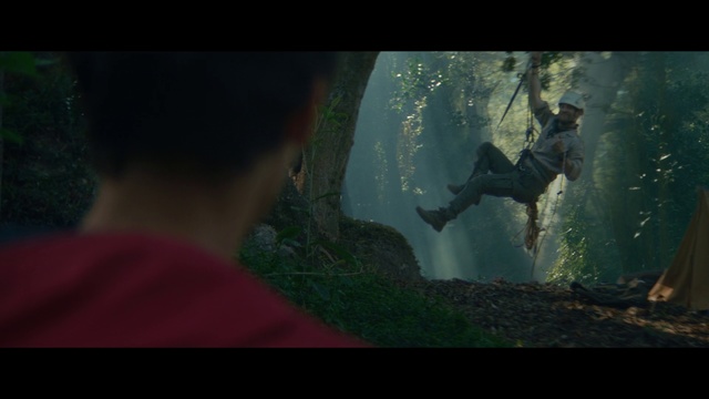 Video Reference: Green, Underwater, Organism, Screenshot, Digital compositing, Tree, Recreation, Fictional character, Movie, Forest, Sitting, Window, Small, Man, Table, Front, Laptop, Dark, Standing, Cat, Vase, Red, Screen, Bird, Room, Computer, Glass, Holding, Head, Street, White, Large, Umbrella, Mirror, Food, Swimming, Aquarium, Video game