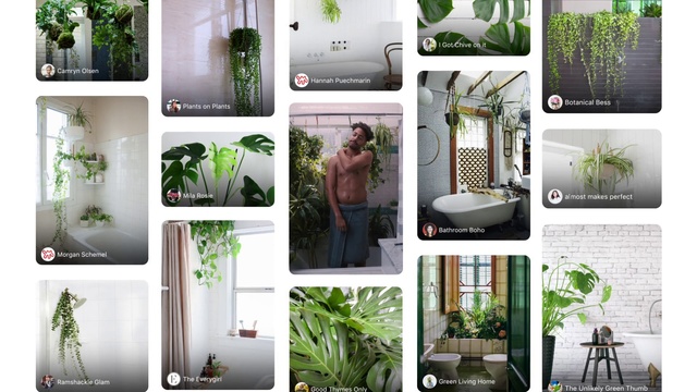 Video Reference: Green, Houseplant, Plant, Flowerpot, Botany, Herb, Tree, Terrestrial plant, Fines herbes, Room