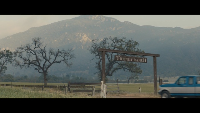 Video Reference: mountainous landforms, sky, mode of transport, tree, mountain, road, rural area, hill station, morning, hill