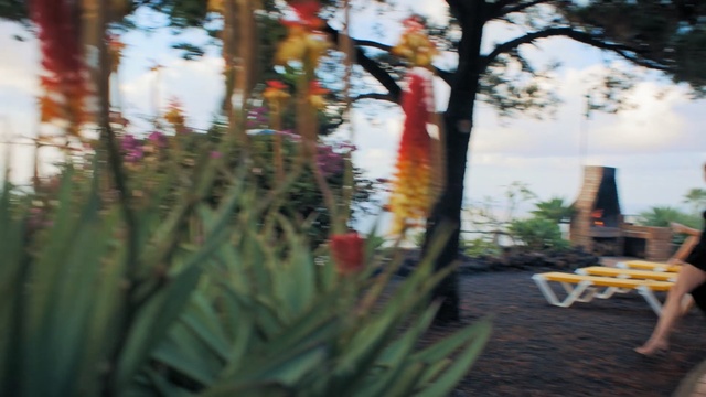 Video Reference: plant, flower, flora, leaf, tree, spring, sunlight, grass, branch, autumn, Person