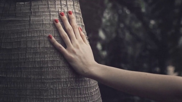Video Reference: Finger, Hand, Nail, Skin, Arm, Sky, Human body, Gesture, Tree, Flesh, Person, Holding, Phone, Front, Remote, Cellphone, Woman, Control, Young, Man, Using, Apple, Girl, Game, Red, Standing, Food, Wrist, Feet