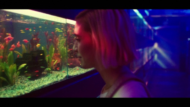 Video Reference: Violet, Magenta, Fun, Organism, Nightclub, Music venue