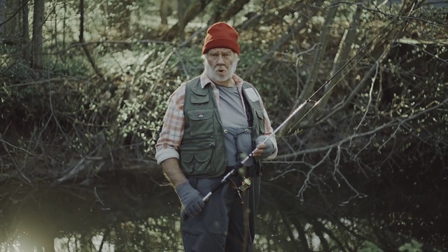 Video Reference: Recreation, Tree, Forest, Plant, Woodland, Old-growth forest, Person