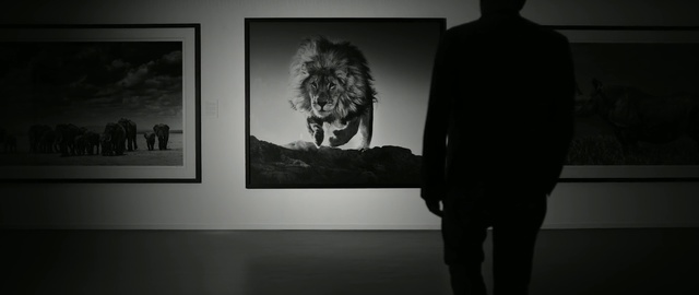 Video Reference: Black, White, Black-and-white, Monochrome, Monochrome photography, Visual arts, Art, Photography, Room, Stock photography