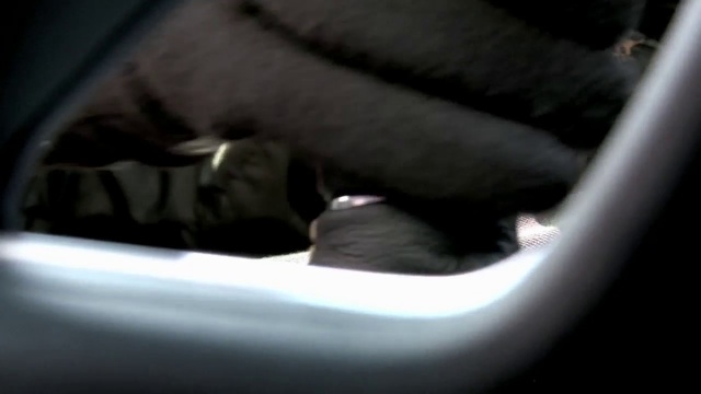 Video Reference: Light, Product, Auto part, Bumper, Automotive exterior, Footwear, Automotive lighting, Shoe, Photography, Automotive exhaust