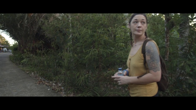 Video Reference: Nature, Photograph, Jungle, Green, Natural environment, Forest, Wilderness, Tree, Woodland, Leaf