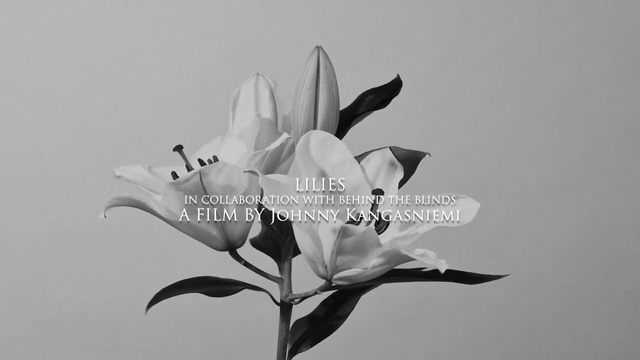 Video Reference: Black-and-white, Monochrome photography, White, Flower, Petal, Plant, Close-up, Flowering plant, Photography, Monochrome