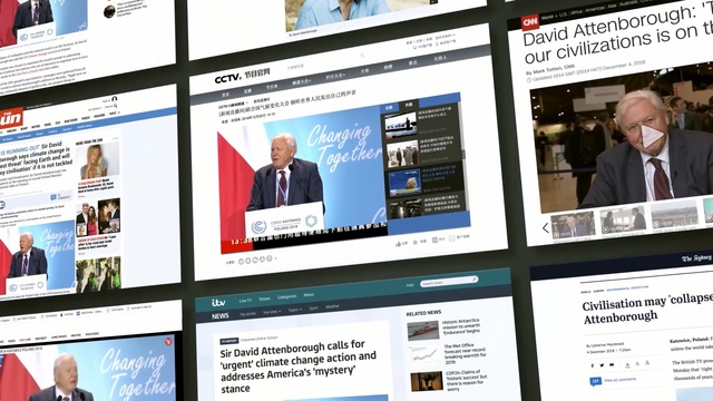 Video Reference: Website, Media, Display advertising, Web page, Advertising, News, Font, Technology, Online advertising, Multimedia