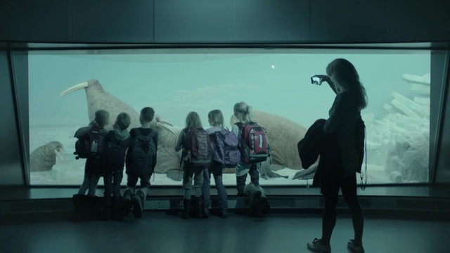 Video Reference: scene, fun, Person