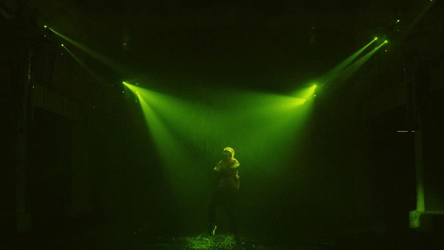 Video Reference: Green, Light, Performance, Lighting, Visual effect lighting, Technology, Performing arts, Sky, Photography, Stage, Front, Sitting, Glass, Dark, Yellow, Table, Fish, Water, Lit, Vase, Man, Large, Holding, Bird, Night, Standing, White, Room, Concert, Person, Laser, Night sky