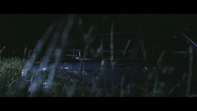 Video Reference: black, nature, atmosphere, darkness, mode of transport, night, screenshot, light, grass, sky