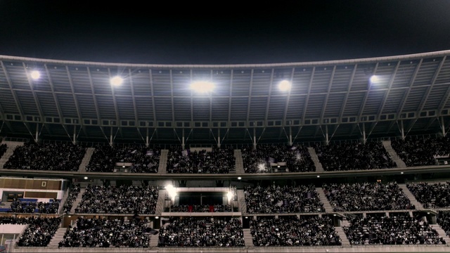 Video Reference: Sport venue, Arena, Stadium, Audience, Crowd, Fan, Night, Soccer-specific stadium, Architecture, Competition event, Person