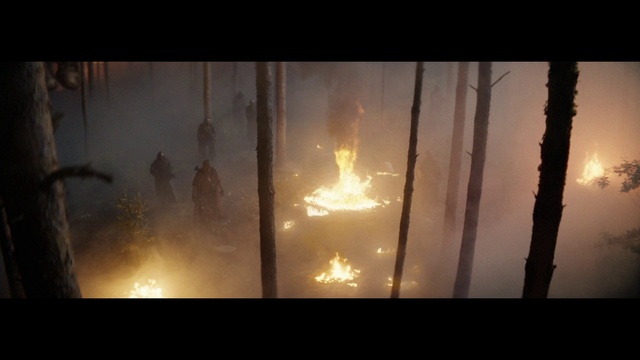 Video Reference: Heat, Fire, Flame, Light, Lighting, Atmosphere, Darkness, Sunlight, Branch