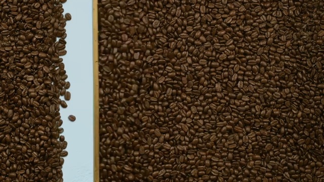 Video Reference: Brown, Plant