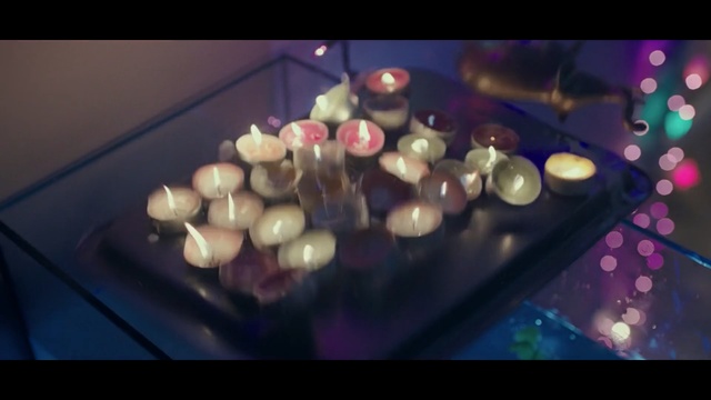 Video Reference: Lighting, Light, Violet, Purple, Still life photography, Macro photography, Organism, Photography, Petal, Space