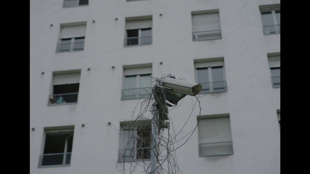 Video Reference: Property, Window, Facade, House, Architecture, Sash window, Real estate, Neighbourhood, Apartment, Building