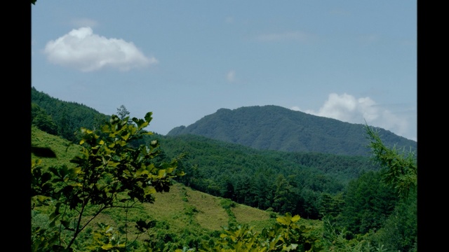 Video Reference: vegetation, sky, nature, mountainous landforms, highland, mountain, wilderness, hill station, mount scenery, nature reserve