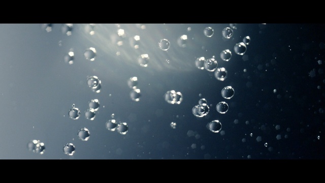 Video Reference: water, drop, atmosphere, moisture, liquid bubble, macro photography, dew, sky, computer wallpaper, organism