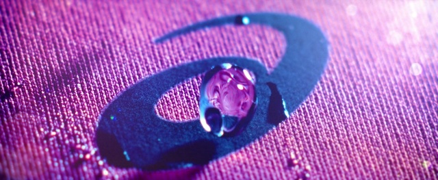 Video Reference: blue, violet, purple, cobalt blue, close up, macro photography, organism, magenta