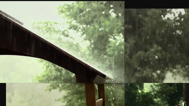 Video Reference: ecosystem, nature, tree, green, mode of transport, architecture, sunlight, sky, biome, wood