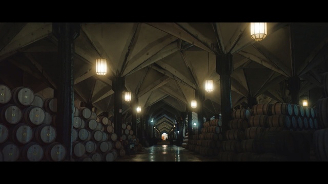 Video Reference: Darkness, Black, Light, Night, Lighting, Snapshot, Architecture, Midnight, Street light, Symmetry