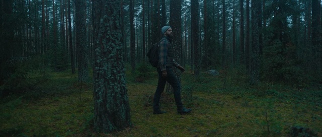 Video Reference: Woodland, Forest, Natural environment, Tree, Old-growth forest, Biome, Temperate coniferous forest, Spruce-fir forest, Northern hardwood forest, Grove