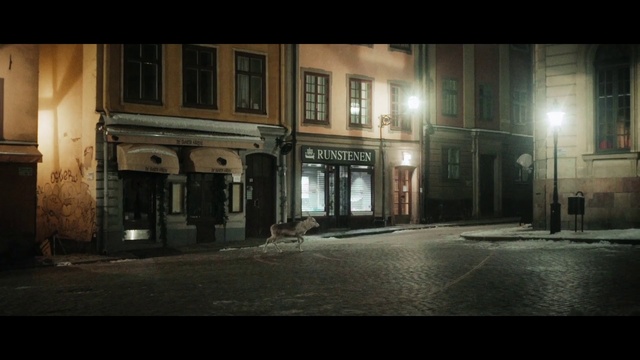 Video Reference: Town, Street, Urban area, Neighbourhood, Architecture, Human settlement, Metropolitan area, Night, Building, Lighting