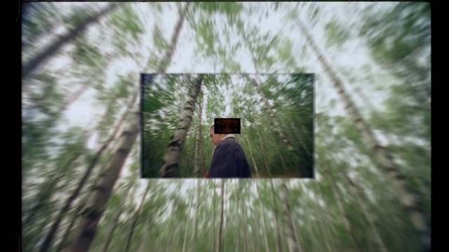 Video Reference: Nature, Photograph, Green, Tree, Natural environment, Forest, Grass, Woody plant, Photography, Wood, Person, Building, Sitting, Man, Dark, Standing, White, Screenshot, Plant, Clothing