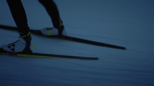 Video Reference: Ski, Recreation, Sports, Skiing, Ski pole, Ski Equipment, Sports equipment, Footwear, Nordic combined, Individual sports