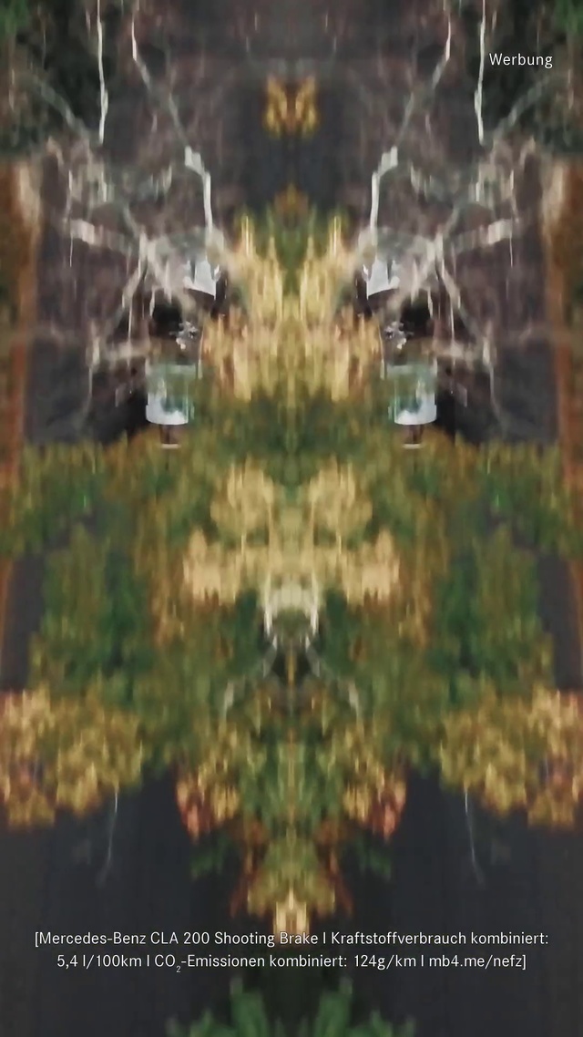 Video Reference: Nature, Biome, Tree, Symmetry, Aerial photography, Organism, Plant, Landscape, World, Space