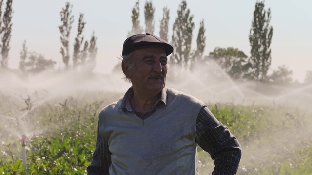 Video Reference: Atmospheric phenomenon, Field, Grassland, Grass, Tree, Photography, Headgear, Adaptation, Outerwear, Fog