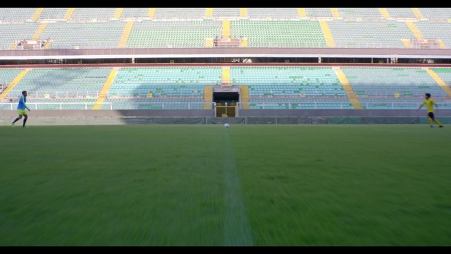 Video Reference: Stadium, Sport venue, Soccer-specific stadium, Arena, Grass, Artificial turf, Player, Team sport, Sports, Plant