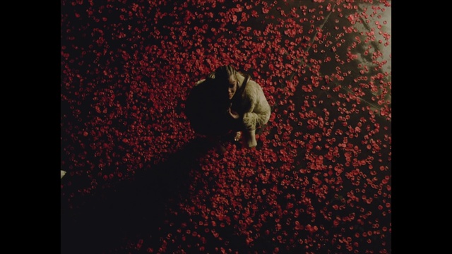 Video Reference: Red, Black, Maroon, Brown, Illustration, Graphic design, Organism, Pattern, Font, Visual arts