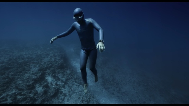 Video Reference: water, underwater diving, freediving, underwater, atmosphere, sky, diving, sea, organism, screenshot