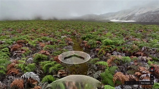 Video Reference: Nature, Vegetation, Natural landscape, Wilderness, Tundra, Plant, Highland, Antarctic flora, Landscape, Moss