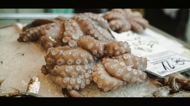 Video Reference: animal source foods