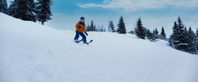 Video Reference: Snow, Winter, Geological phenomenon, Ski, Skiing, Outdoor recreation, Recreation, Skier, Winter sport, Ski Equipment, Person