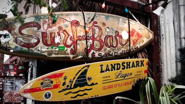 Video Reference: Surfboard, Surfing Equipment, Longboard, Font, Advertising, Signage, Surfing, Skateboard, Art