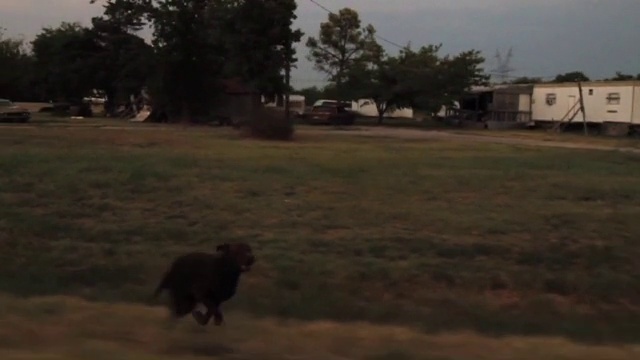 Video Reference: Sky, Pasture, Land lot, Tree, Ecoregion, Rural area, Landscape, Savanna, Plain, Grass, Person