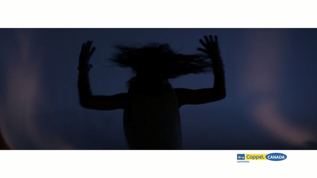 Video Reference: silhouette, sky, backlighting, shadow, darkness, computer wallpaper, stock photography