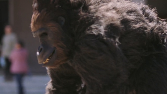Video Reference: snout, fur, werewolf