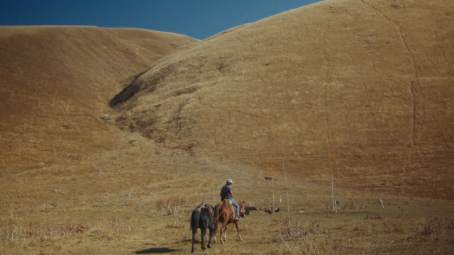 Video Reference: Ecoregion, Geology, Hill, Landscape, Rock, Steppe, Wrangler, Grassland