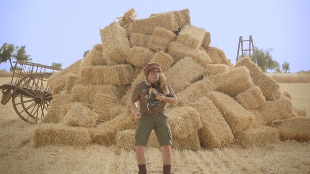 Video Reference: hay, straw, grass family, sand, harvest, commodity, wheat, agriculture