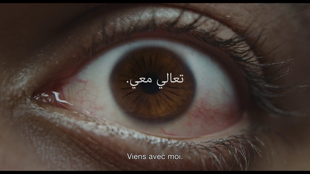 Video Reference: Eye, Iris, Eyelash, Close-up, Eyebrow, Skin, Organ, Brown, Macro photography, Ophthalmology