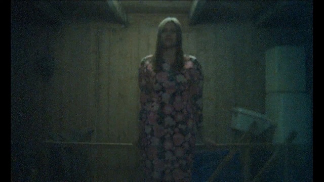 Video Reference: black, darkness, atmosphere, light, snapshot, screenshot, night, human, girl, facial hair