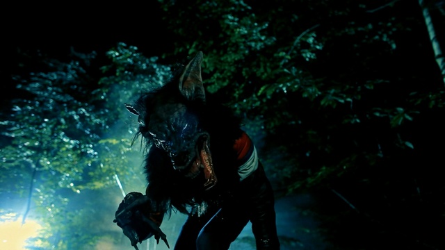 Video Reference: darkness, tree, night, organism, screenshot, plant, sky, midnight, computer wallpaper