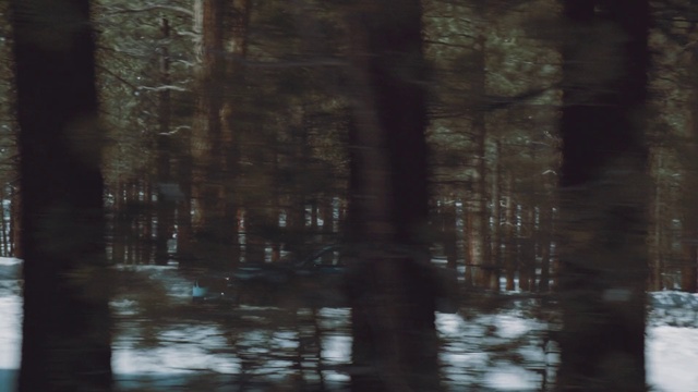 Video Reference: Nature, Tree, Natural environment, Forest, Atmospheric phenomenon, Woodland, Biome, Wood, Reflection, Water