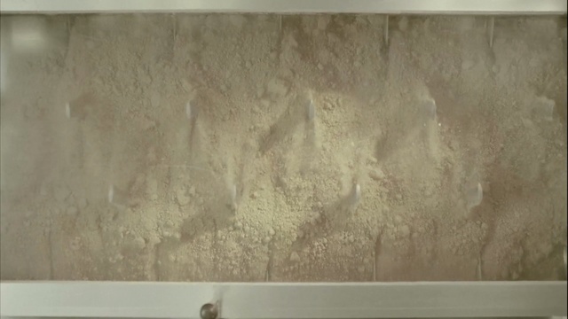 Video Reference: Wall, Plaster, Floor, Room, Flooring, Wood, Concrete