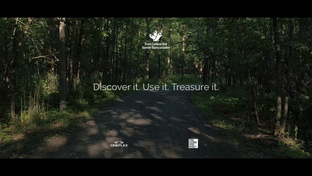 Video Reference: nature, forest, vegetation, tree, woodland, path, ecosystem, nature reserve, jungle, old growth forest